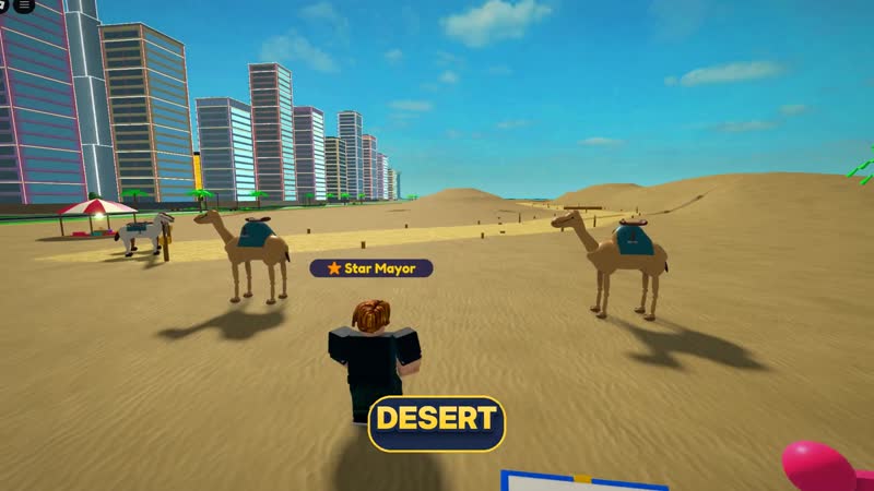 Explore the desert with camels
